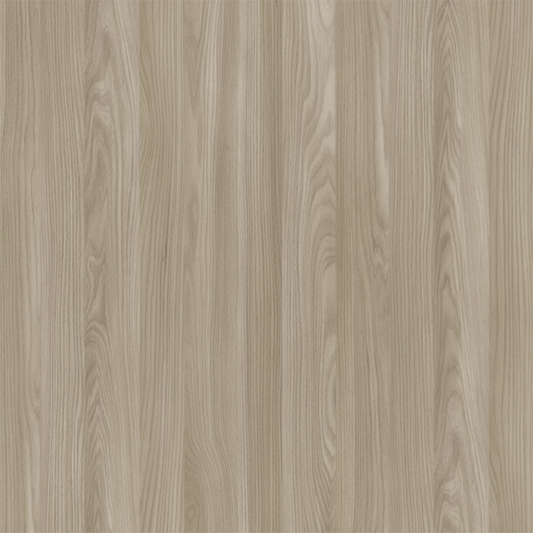 E11017 Elm Panxia