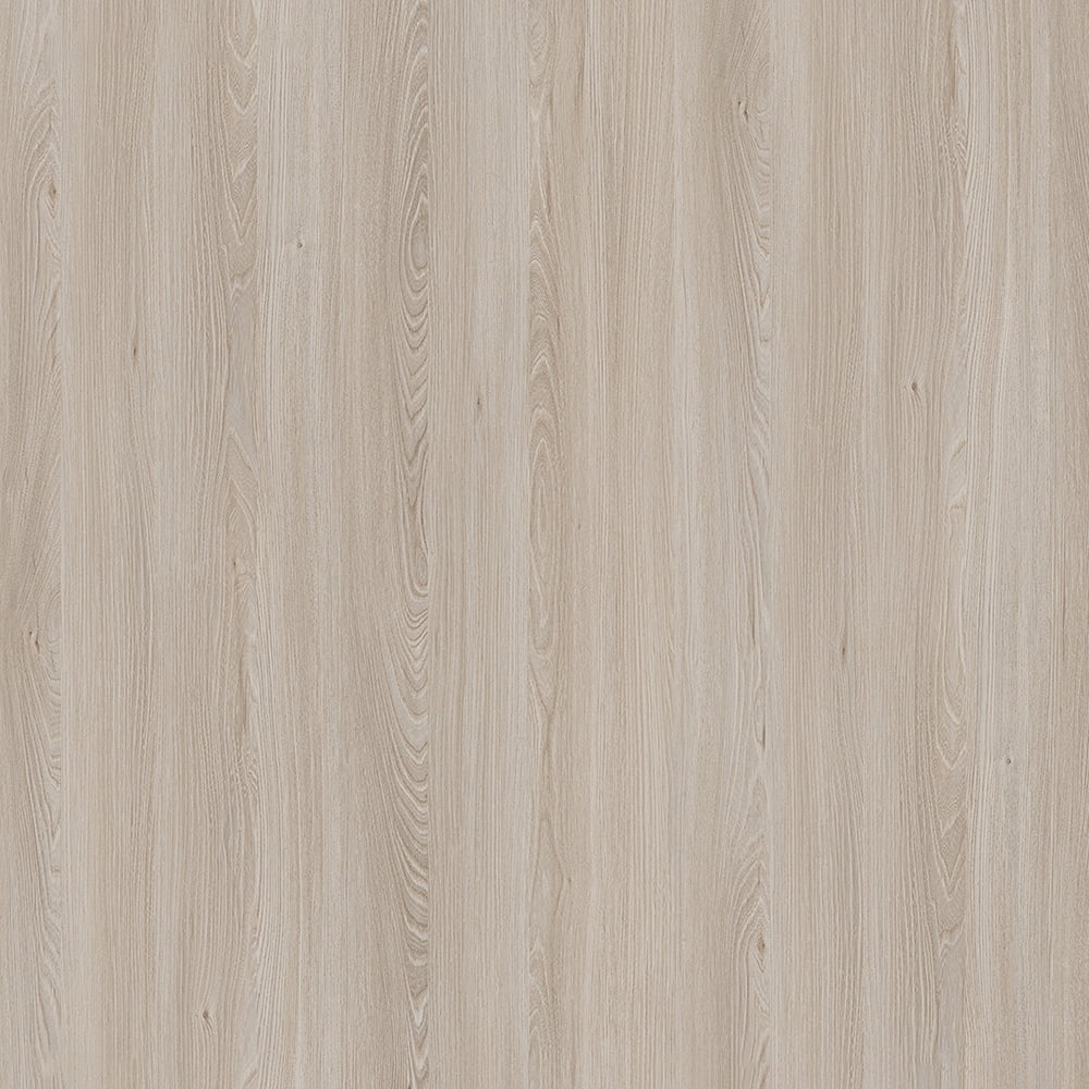E11032 Caucase Elm