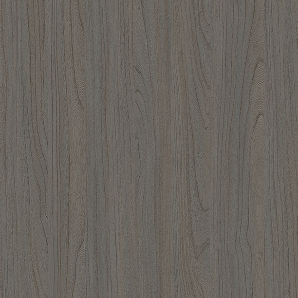 E11024 Elm parfumé ancien
